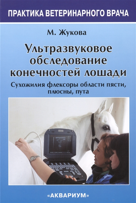 Ультразвуковое обследование конечностей лошади Сухожилия флексоры области пясти плюсны пута
Ультразвуковое обследование конечностей лошади Сухожилия флексоры области пясти плюсны пута
