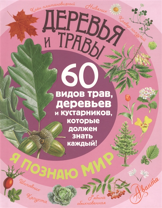 Деревья и травы 60 видов трав деревьев и кустарников которые должен знать каждый
Деревья и травы 60 видов трав деревьев и кустарников которые должен знать каждый