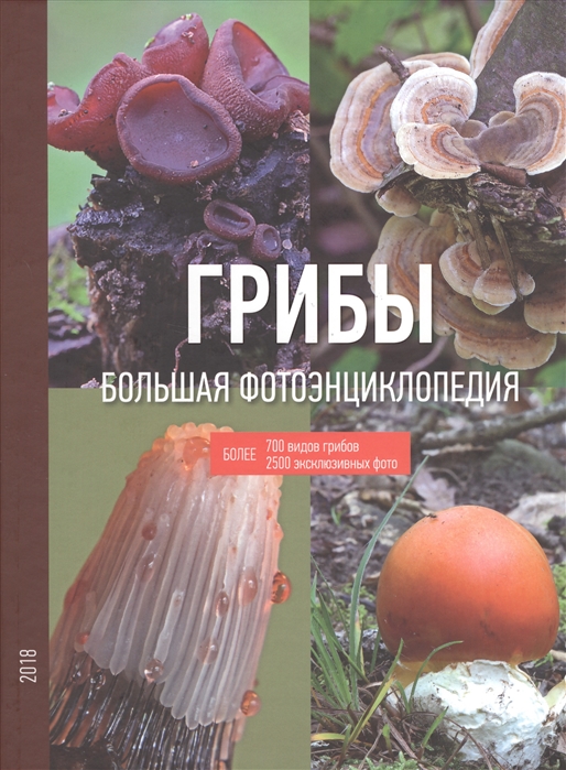 Грибы Большая фотоэнциклопедия Более 700 видов грибов 2500 эксклюзивных фото
Грибы Большая фотоэнциклопедия Более 700 видов грибов 2500 эксклюзивных фото