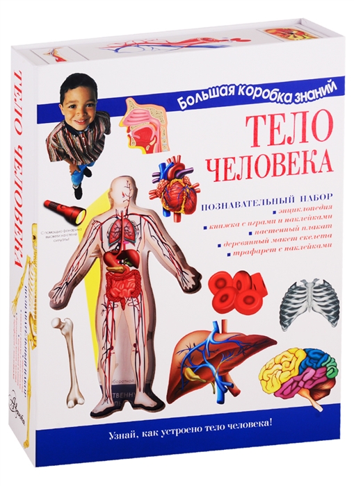 Тело человека Познавательный набор Энциклопедия Книжка с играми и наклейками Настенный плакат Деревянный макет скелета Трафарет с наклейками
Тело человека Познавательный набор Энциклопедия Книжка с играми и наклейками Настенный плакат Деревянный макет скелета Трафарет с наклейками