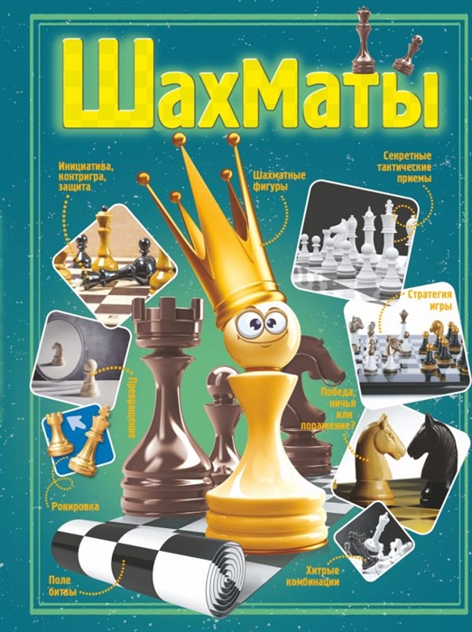 Шахматы 
Шахматы