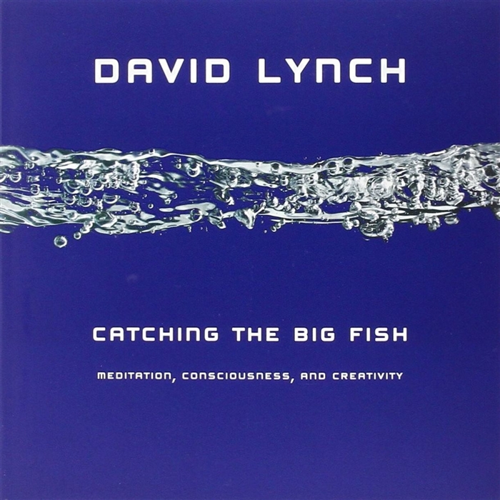 Catching the Big Fish Meditation Consciousness and Creativity