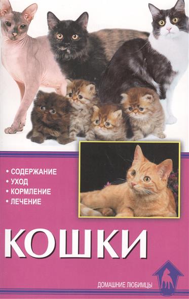 Домашние коты уход и содержание в домашних условиях