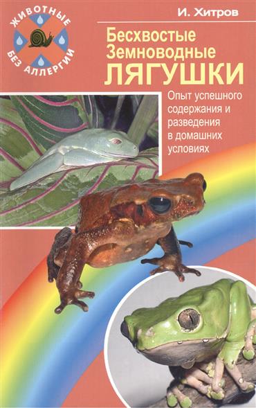 В домашних условиях лягушки В домашних условиях лягушки