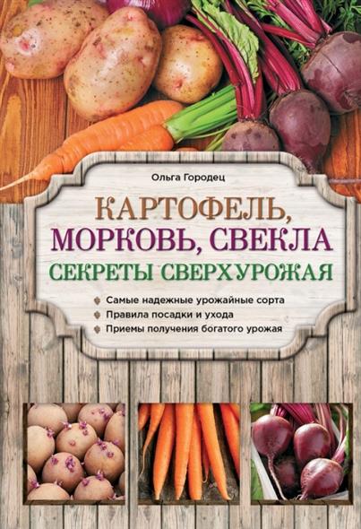 Курс кройки и шитья дома Курс кройки и шитья дома