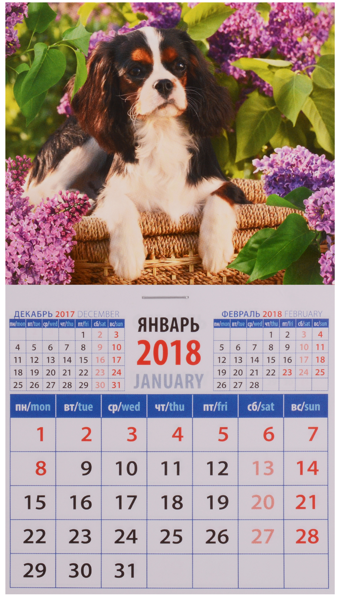 Февраль, 2018 | Год собаки 2018 Февраль, 2018 | Год собаки 2018