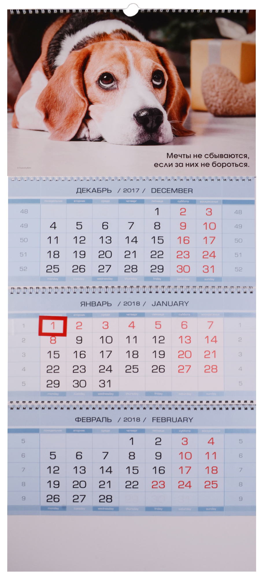 Февраль, 2018 | Год собаки 2018 Февраль, 2018 | Год собаки 2018