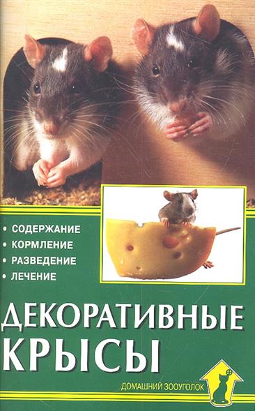 Чем лечит крысу в домашних условиях
