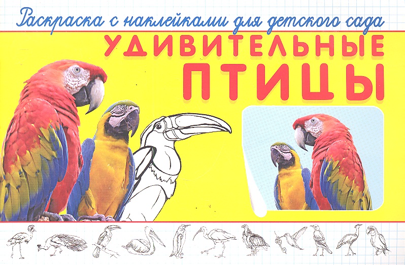 Раскраска с накл. для детского сада Удивительные птицы