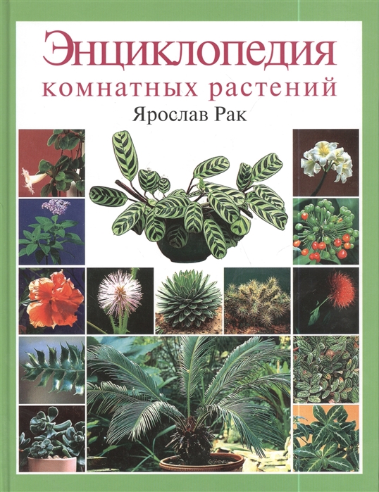 

Энциклопедия комнатных растений