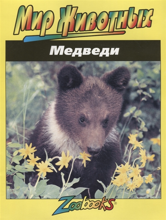

Медведи