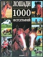 

Лошади. 1000 фотографий