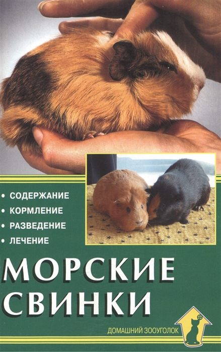 

Морские свинки