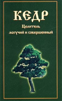 

Кедр Целитель могучий и совершенный