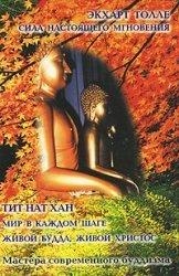 

Сила настоящего мгновения Мир в каждом шаге