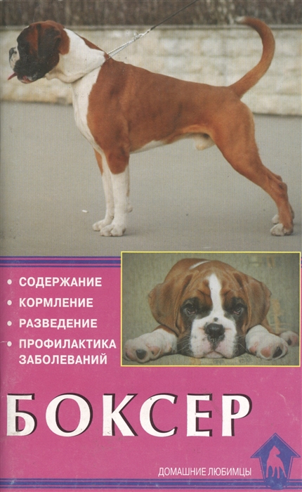 

Боксер