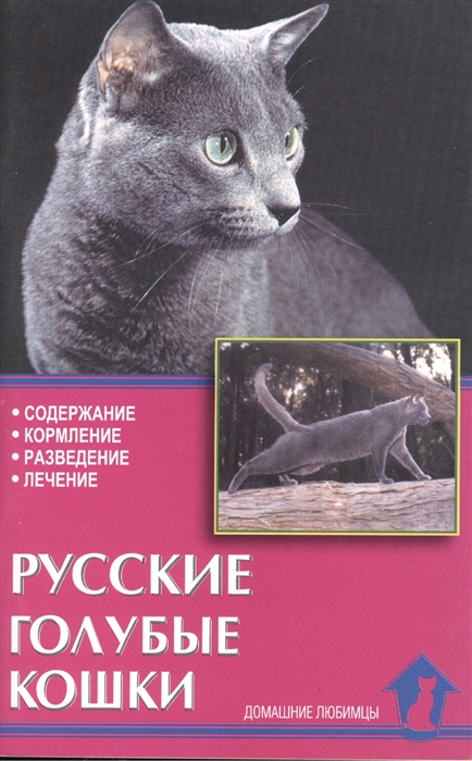 Русские голубые кошки