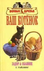 

Ваш котенок Задор и обояние