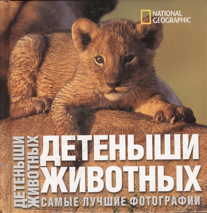 

Детеныши животных Самые лучшии фотографии
