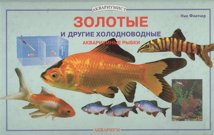 Золотые и другие холодноводные аквариумные рыбки