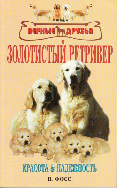 

Золотистый ретривер Красота и надежность
