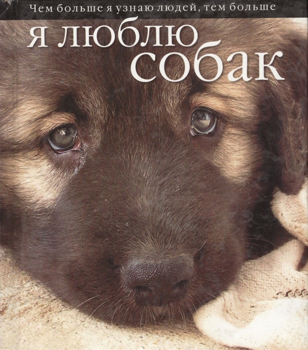 

Я люблю собак