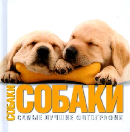 

Собаки Самые лучшие фотографии