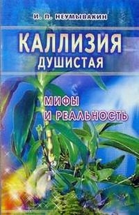 

Каллизия душистая Мифы и реальность