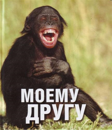 

Моему другу