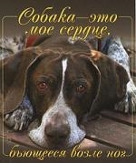 

Собака это мое сердце бьющееся у моих ног