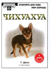 

Чихуахуа