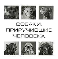 

Собаки приручившие человека