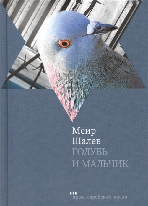 

Голубь и мальчик