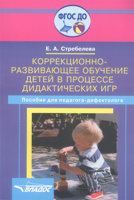 

Коррекционно-развивающее обучение детей в процессе дидактических игр