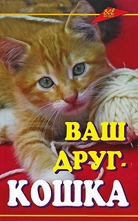 

Ваш друг кошка