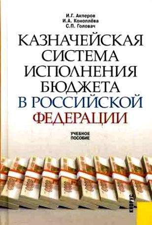 Казначейская система исполн бюджета в РФ Учеб пособ