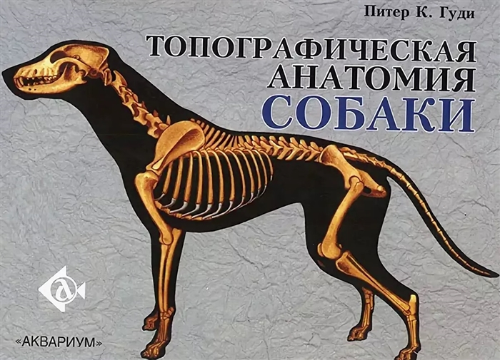 

Топографическая анатомия собаки