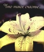 Что такое счастье что такое счастье