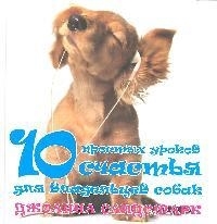 

10 простых уроков счастья для владельцев собак