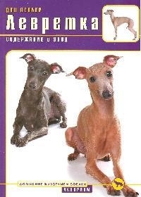 

Левретка Содержание и уход