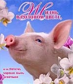 

Жизнь в розовом цвете или Почему хорошо быть девочкой