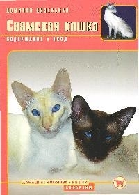 

Сиамская кошка Содержание и уход