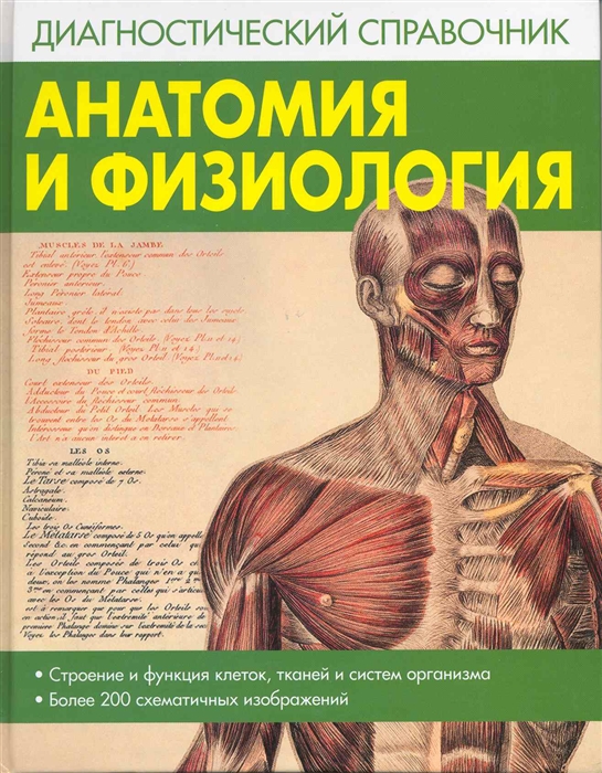 

Анатомия и физиология Диагност справочник