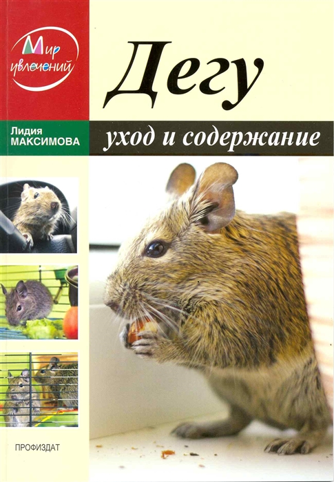 

Дегу Уход и содержание