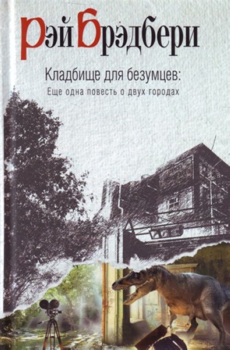 

Кладбище для безумцев Еще одна повесть о двух городах