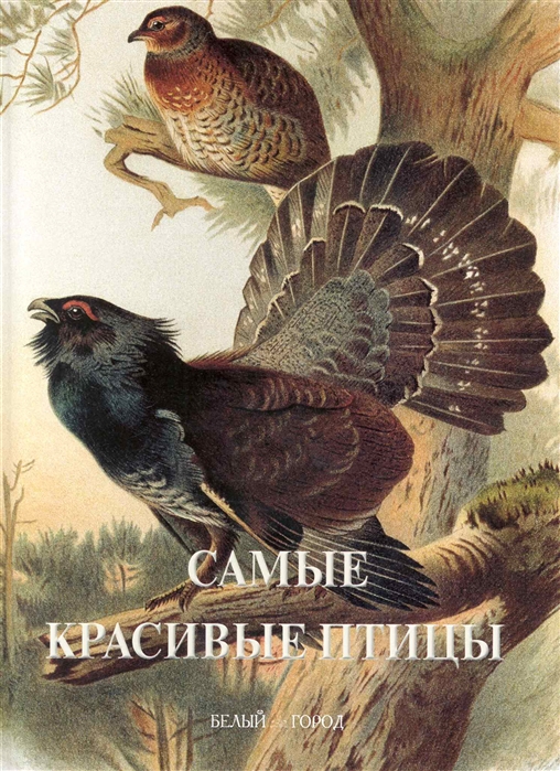 

Самые красивые птицы