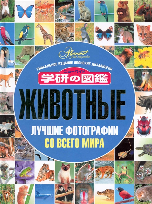 

Животные Лучшие фотографии со всего мира