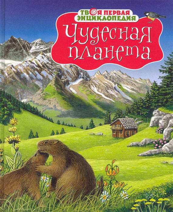 

Чудесная планета