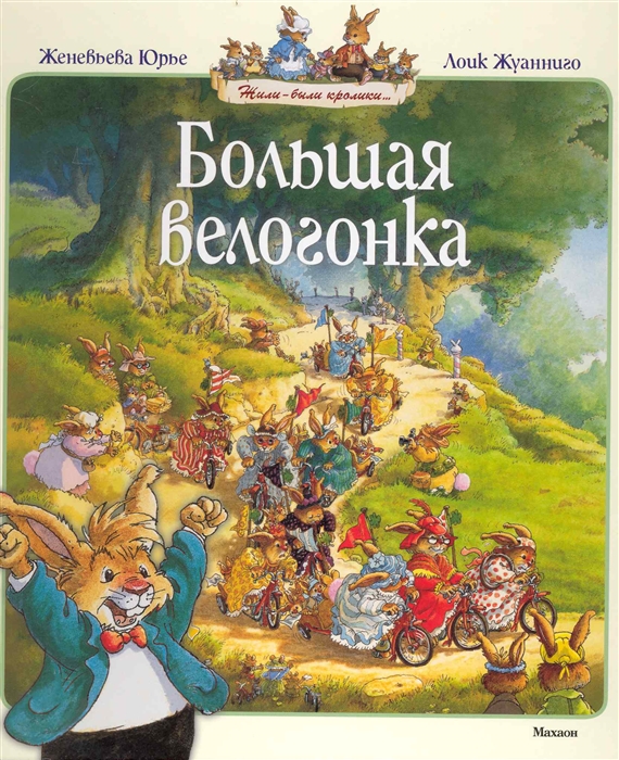 

Большая велогонка