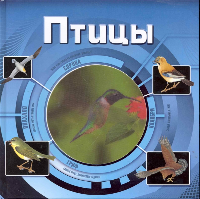 

Птицы